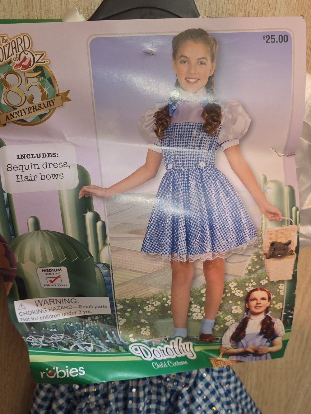 Wizard Of Oz Dorothy Child Costume